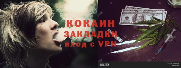 дживик Верхний Тагил