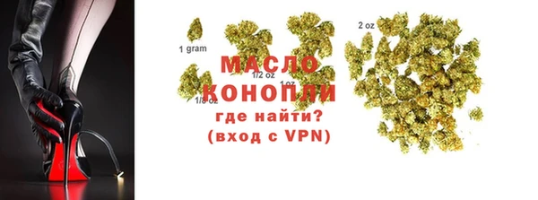 амф Бородино