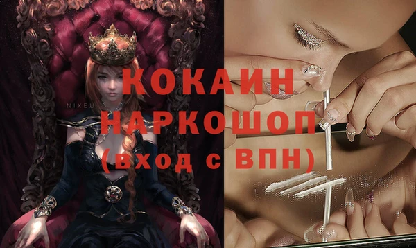 дживик Верхний Тагил